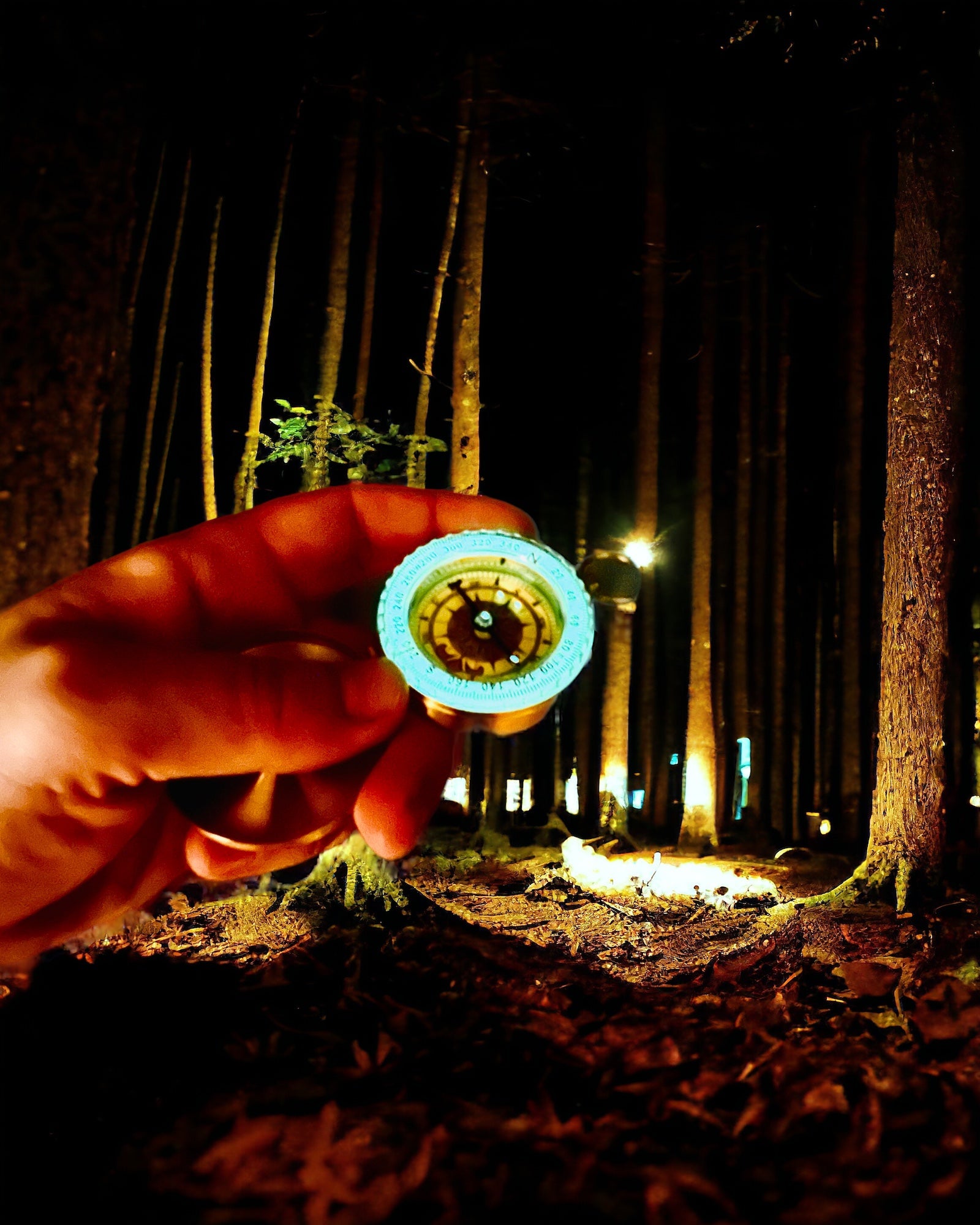 Elegant Sett med Kompass og Signalfløyte