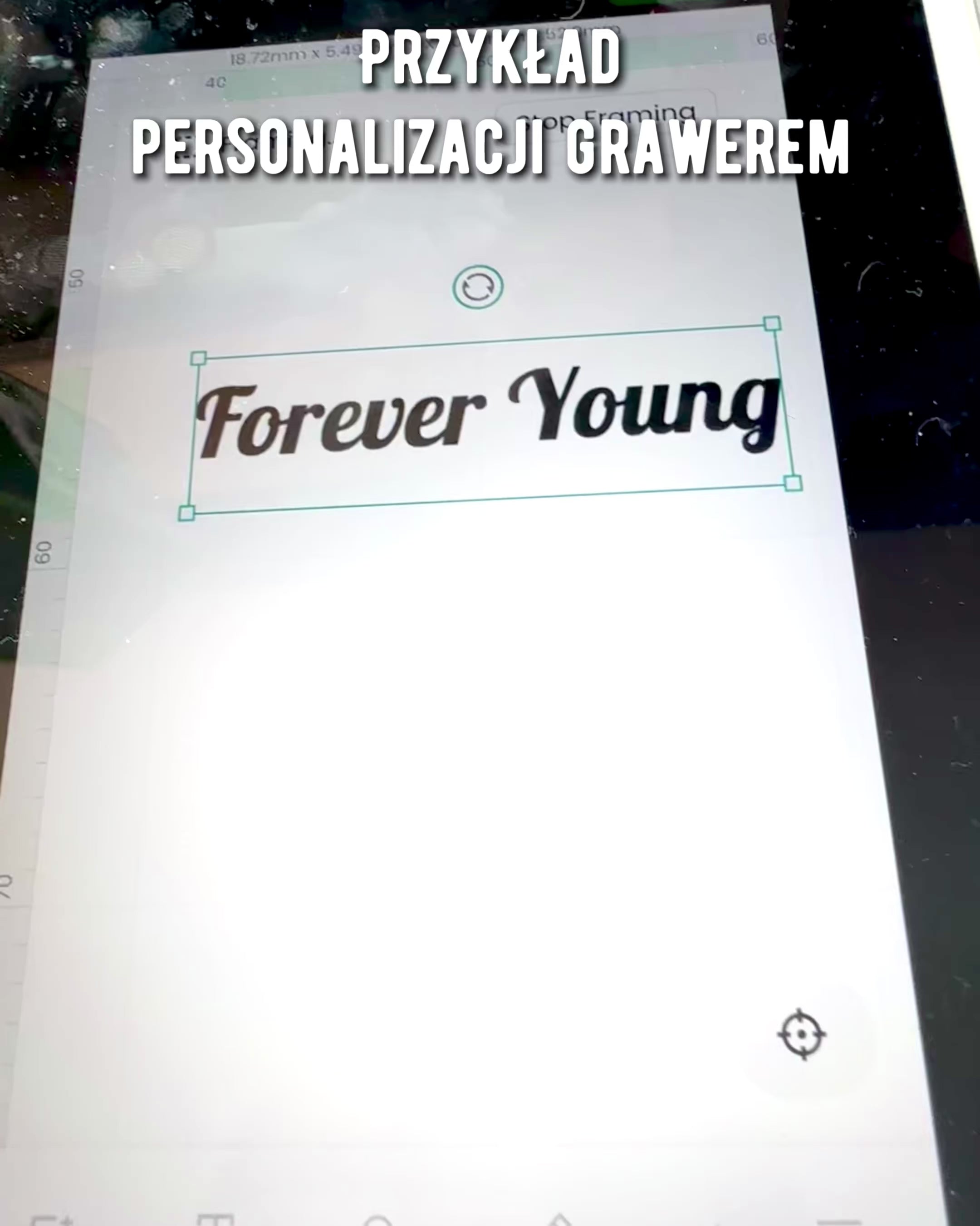 Vintage kalligrafipenn med naturlig gåsefjær – den perfekte gaven til morsdag eller lærer. Gravering